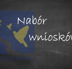 NABÓR WNIOSKÓW - WŁĄCZENIE SPOŁECZNE SENIORÓW, LUDZI MŁODYCH LUB OSÓB   W NIEKORZYSTNEJ SYTUACJI