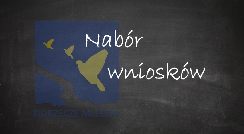 NABÓR WNIOSKÓW - WŁĄCZENIE SPOŁECZNE SENIORÓW, LUDZI MŁODYCH LUB OSÓB   W NIEKORZYSTNEJ SYTUACJI