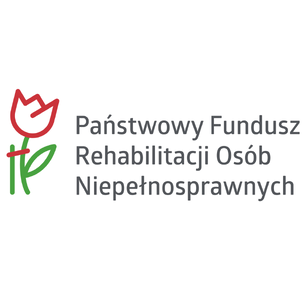 DOFINANSOWANIE NA ZAKUP DZIEWIĘCIOOSOBOWEGO MIKROBUSU PRZYSTOSOWANEGO DO PRZEWOZU OSÓB NIEPEŁNOSPRAWNYCH