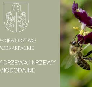 NOWE DRZEWA I KRZEWY WZBOGACĄ FLORĘ PODKARPACIA