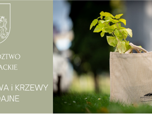 SADZENIE ROŚLIN MIODODAJNYCH