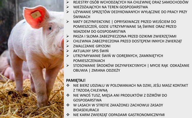 WAŻNA INFORMACJA – ASF NA TERENIE GMIN SĄSIEDNICH