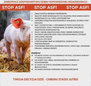 WAŻNA INFORMACJA – ASF NA TERENIE GMIN SĄSIEDNICH