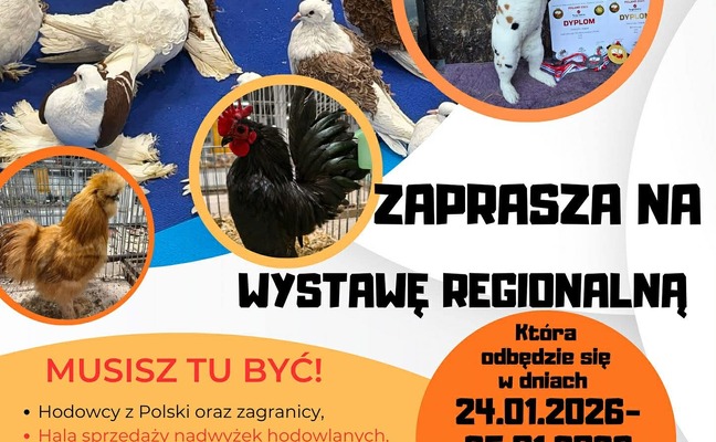 REGIONALNA WYSTAWA GOŁĘBI RASOWYCH I DROBNEGO INWENTARZA W ZARZECZU