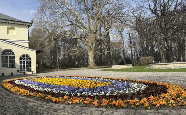 WIOSNA NA DOBRE ZAWITAŁA DO ZARZECKIEGO PARKU...