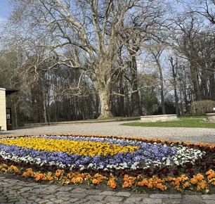WIOSNA NA DOBRE ZAWITAŁA DO ZARZECKIEGO PARKU...