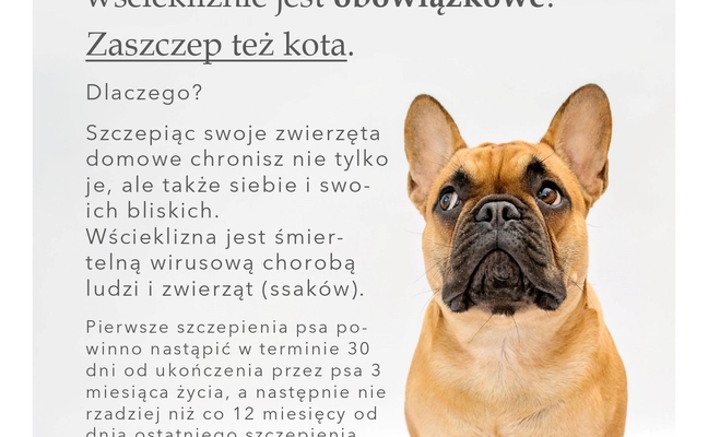 KOMUNIKAT – WŚCIEKLIZNA
