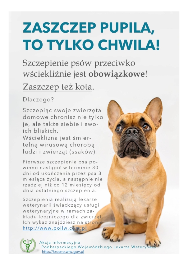 KOMUNIKAT – WŚCIEKLIZNA