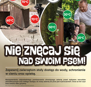 Pies czuje tak jak Ty - zdejmij łańcuch!